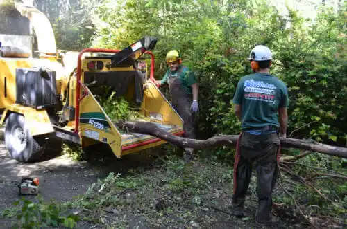 tree services Heber